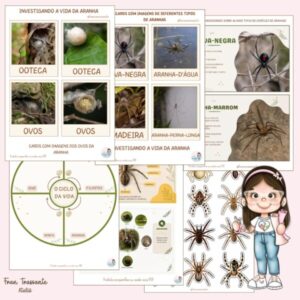Arquivo Digital – Investigando a Vida da Aranha
